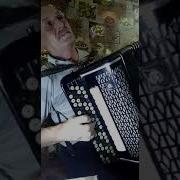 Татарская Мелодия На Баяне
