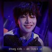 Dlc Stray Kids Speed Up