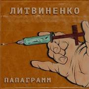 Литвиненко Папаграмм
