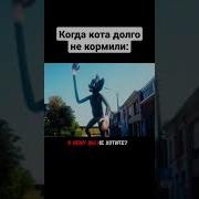 Банан На Голове Банан На Животе Песня