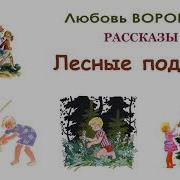 Шлесные Подарки Сказка Воронковой