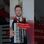 Тарантул На Баяне