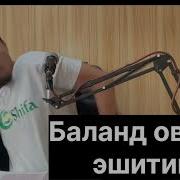 Энн Кучли Корилар Марузалари