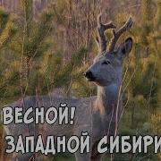 Станислав Рем За Тихой И Тёмноц Рекой Все Чпсти