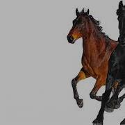 Old Town Road Remix