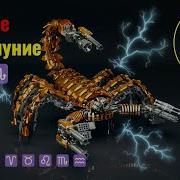 Света Луч Астролог