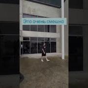 Пародии От Собак