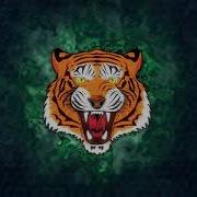 Indian Type Beat Bengal
