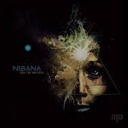 Nibana Icarus Dream