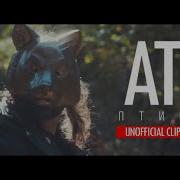 Птицы Atl