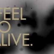 Feel Alive Kapital