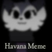 Havana Meme Willow