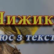 Чижику Плюс