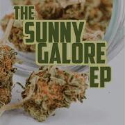 Intro No Introduction Sunny Galore
