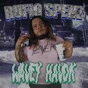 Johnny Tsunami Rufio Spenz