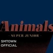 Super Junior Animals