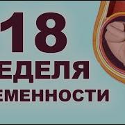 18 Трансексуалы Мультик Она Беременна