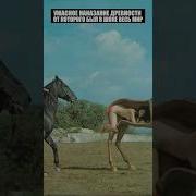 Рассказы Про Голых Девушек