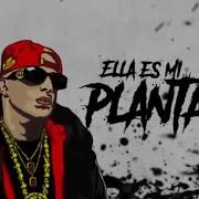 Ñengo Flow Mi Planta Feat Ñengo Flow