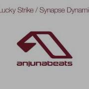Synapse Dynamics Mat Zo