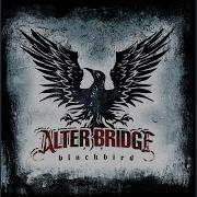 Alter Bridge One By One