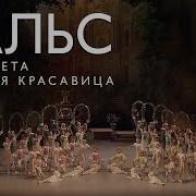 The Sleeping Beauty Act 1 Coda Victor Fedotov Симфонический Оркестр Мариинского Театра