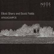 Big Brutal Cold Raindrops Elliott Sharp Scott Fields