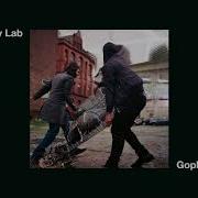 Ivy Lab Gopher