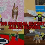 The Normal Elevator Ost