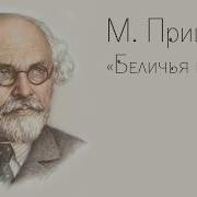 Беличья Память Пришвин