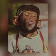 Frozy Kompa Prod Ideal Tiktok Extended Version Ideal