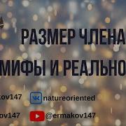 Размер Члена
