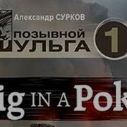 Александр Сурков Позывной Шульга