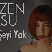 Her Seyi Yak Sezen