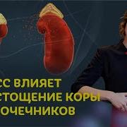 Истощение Коры Надпочечников