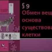 Обмен Веществ Основа Существования Клетки