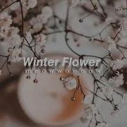 Bts Winter Flower Slowed