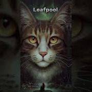 What I Think Warrior Cats Sounnd Like Art In Description