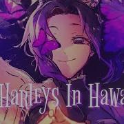 Nightcore Harleys In Hawaii