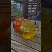 Одуванчик Попова