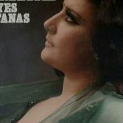 Leyes Gitanas Amina