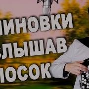 Вячеслав Абросимов Малиновки Заслышав Голосок