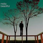 Beautiful Benny Benassi Dub Moby