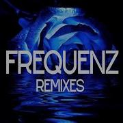 Синие Розы Frequenz Ночное Движение