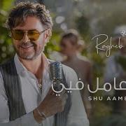 Ragheb2023