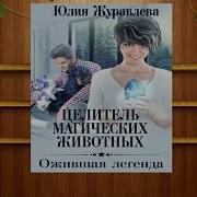 Целители Магических Животных