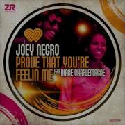 Joey Negro Feat Diane Charlemagne Prove That You Re Feeling Me Joey