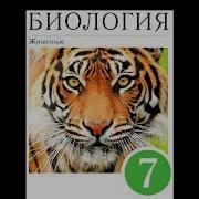 Биология 7 Класс Латюшин В В Параграф Класс Костные Рыбы