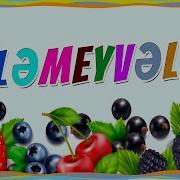 Gilemeyveler Hansilardir