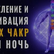 Гипно Феникс Очищение Всего Организма Тонких Тел И Чакр Человека Николая Никитенко